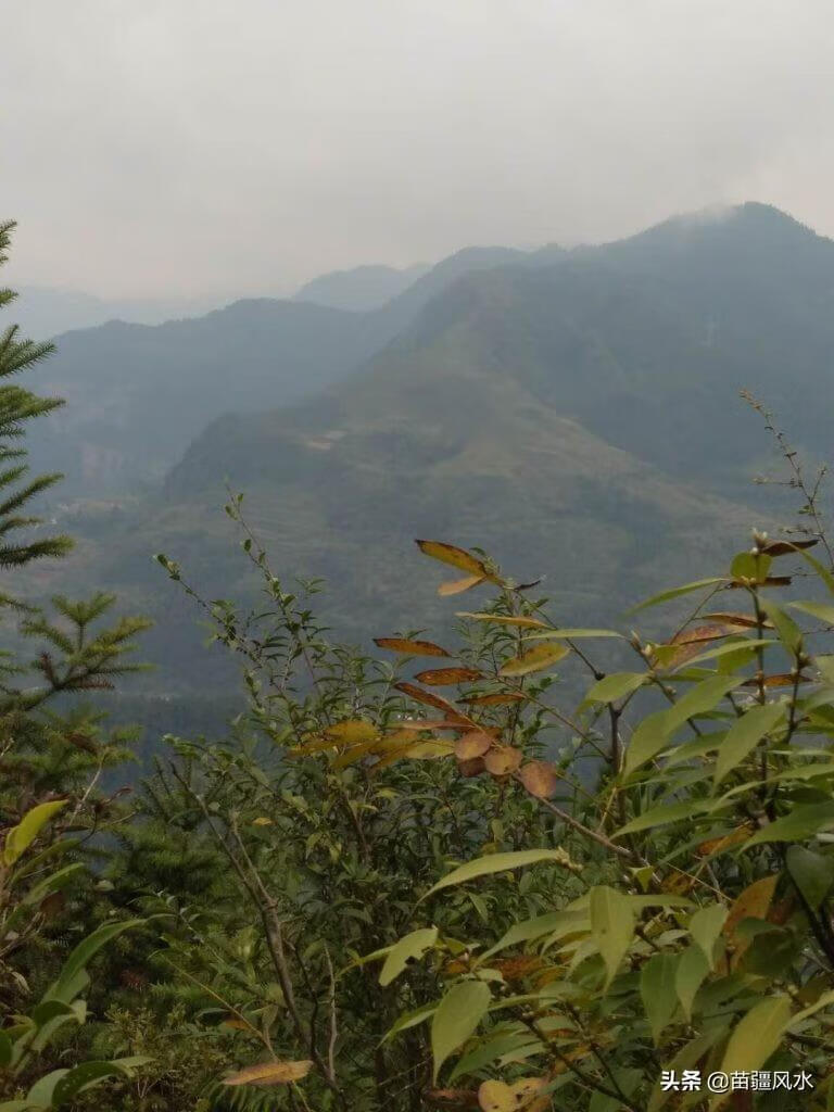 青龙抱穴风水宝地图(坟墓左青龙右北虎风水)