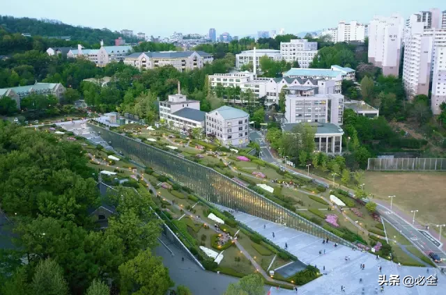 房顶长树风水(楼顶种什么树风水最好)