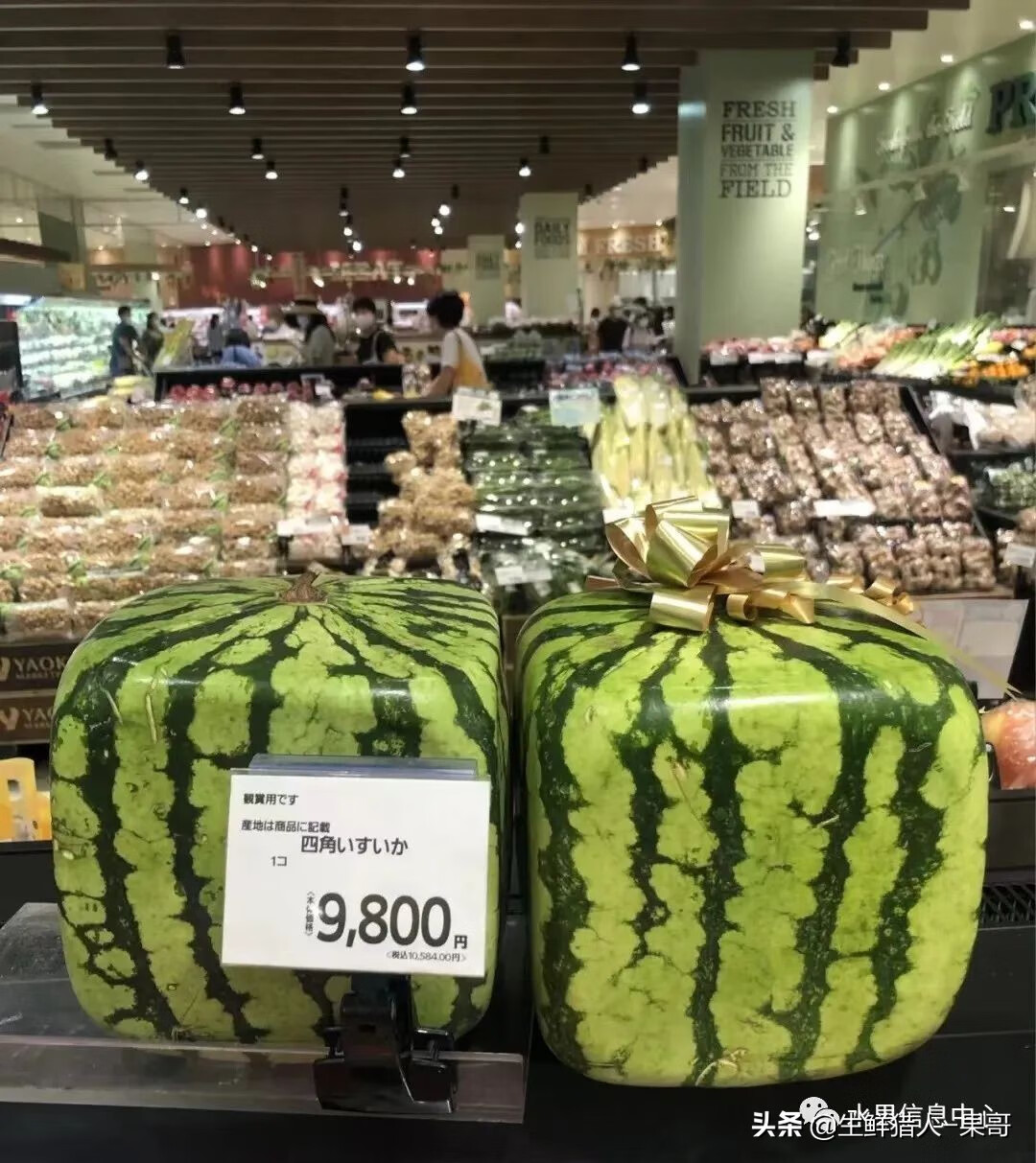 果(果蓏)