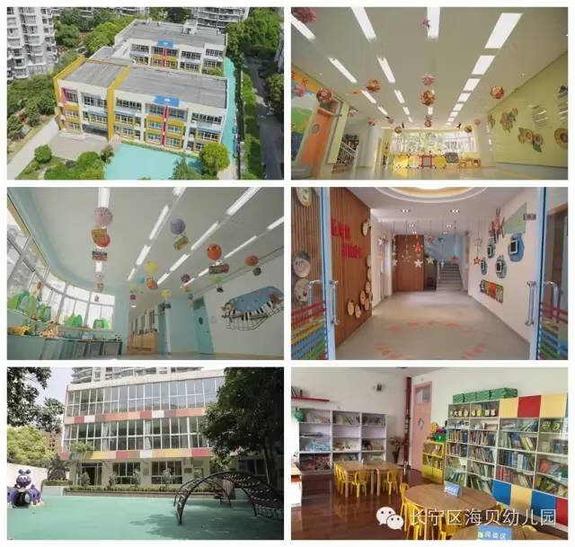 海贝幼儿园(上海海贝幼儿园怎么样)