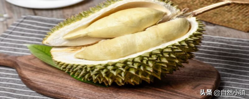 榴莲核可以种吗(榴莲核能干什么)
