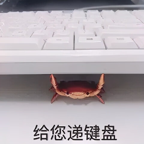 脸上黄褐斑怎样治疗(脸上长黄褐斑怎样治)