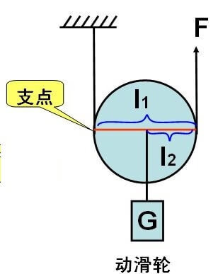 动滑轮的支点在哪里(动滑轮的支点怎么判断)