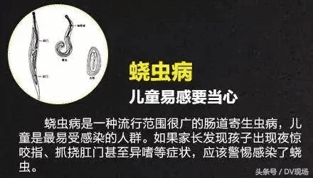 囊虫病(蝇蛆病)