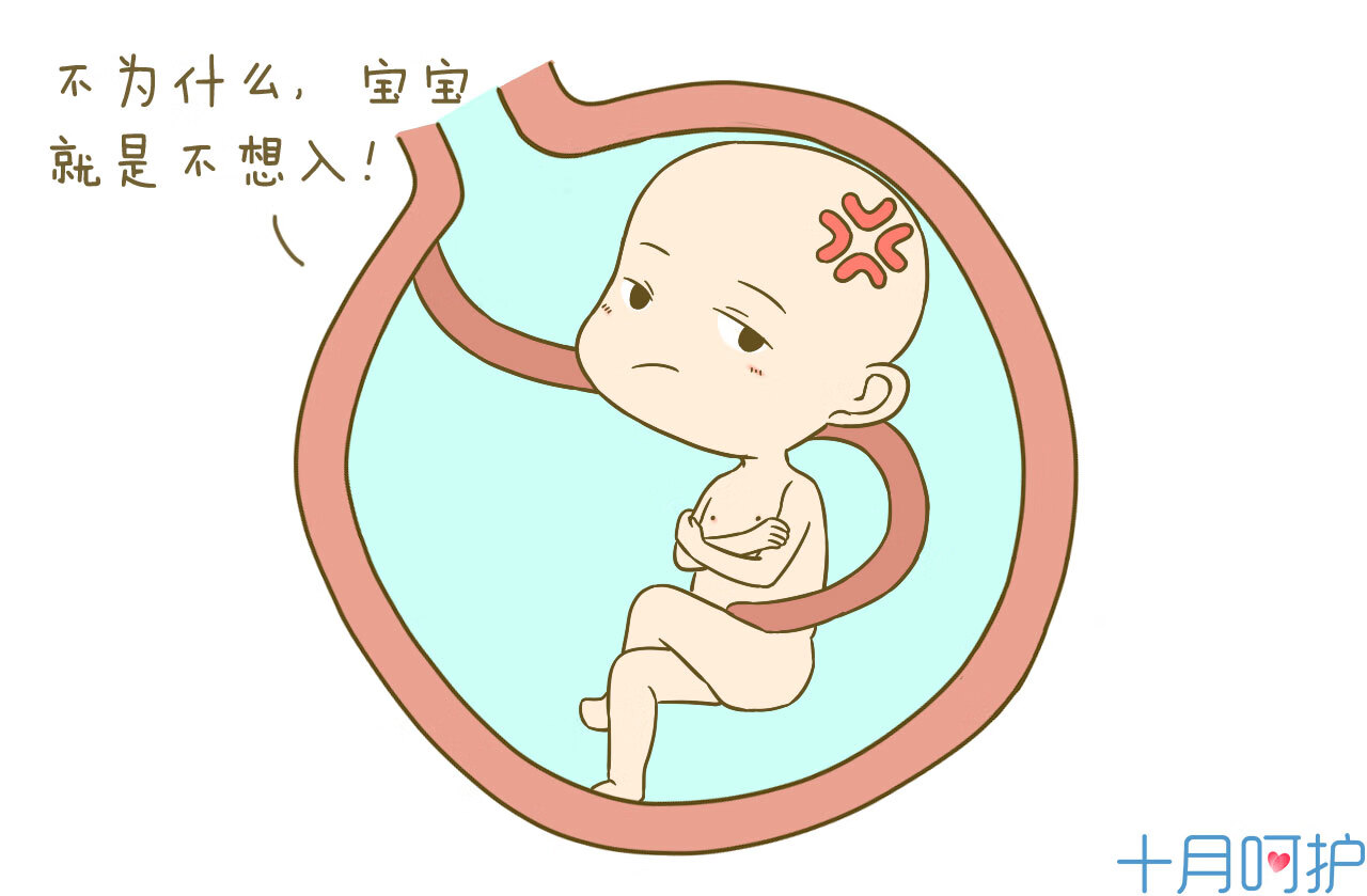 一般入盆后多久会生