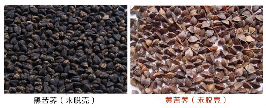 苦荞麦和荞麦的区别功效(苦荞麦的正确吃法)
