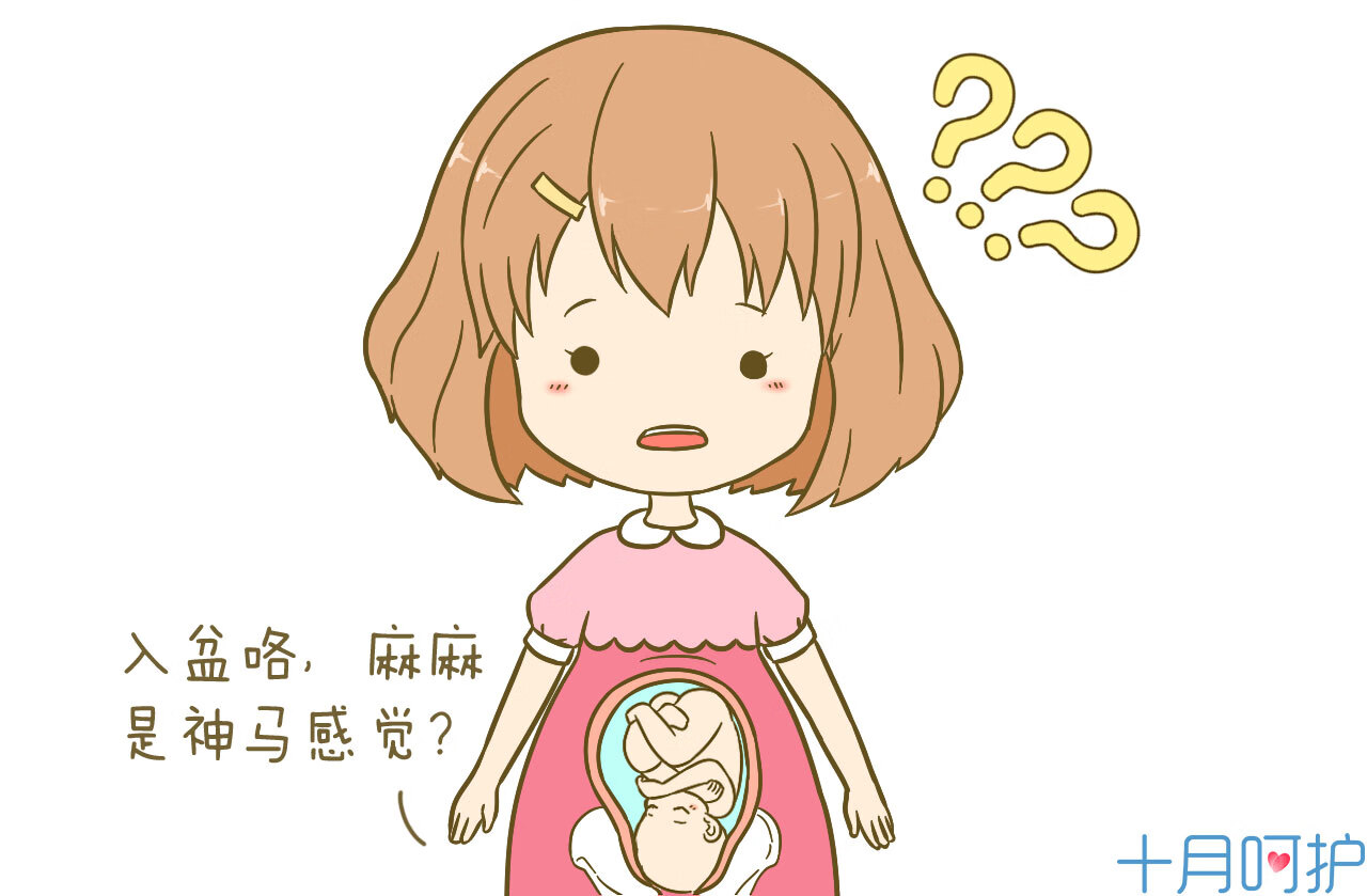 一般入盆后多久会生