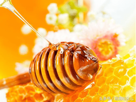 蜂胶功效和作用(蜂胶的神奇功效)