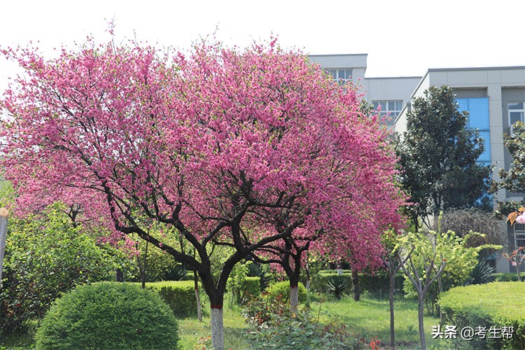 西安电脑培训班学校(西安修图培训班)