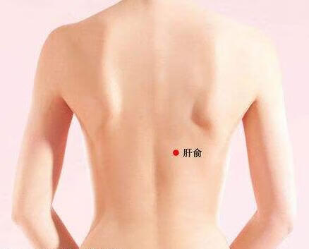 疏肝理气是什么意思(怎样疏肝理气)