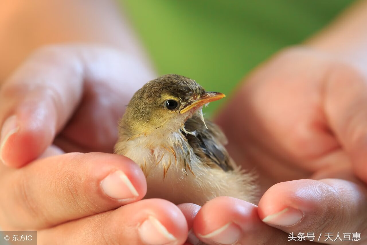 风水名师点穴案例(名师风水视频讲解视频)