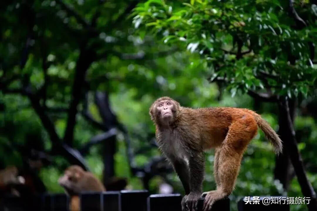 暑假去哪里旅游最好?(暑假去哪里玩最合适)
