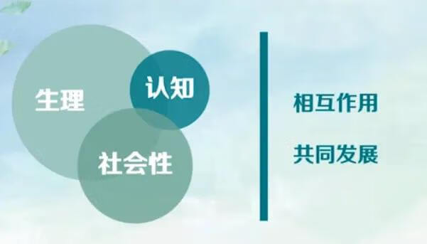 发展心理学名词解释(发展心理学研究的是)
