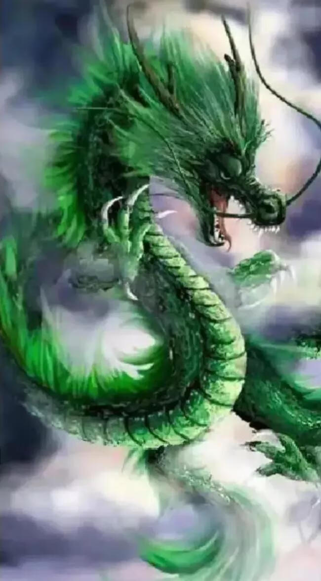 风水龙的图片(海贼王龙马图片)