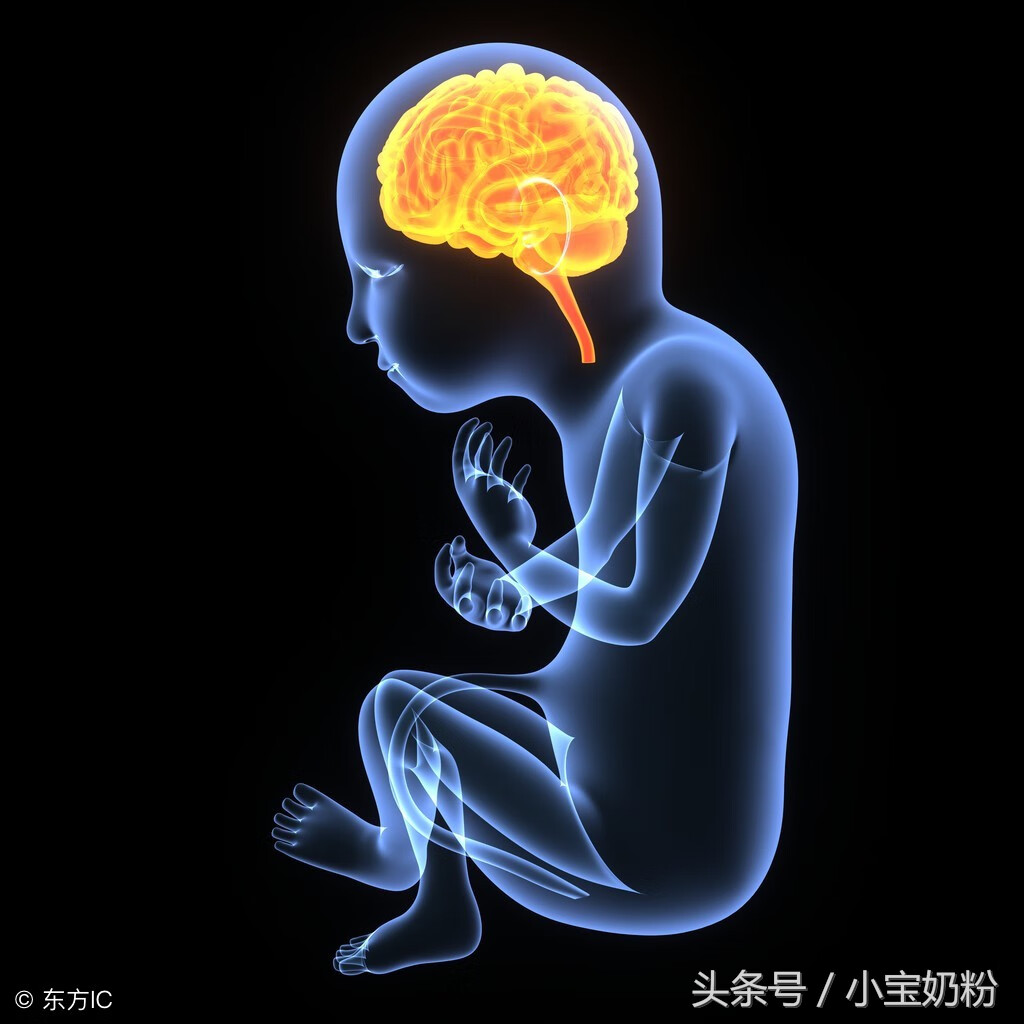 dhaara(dha里含ara好吗)
