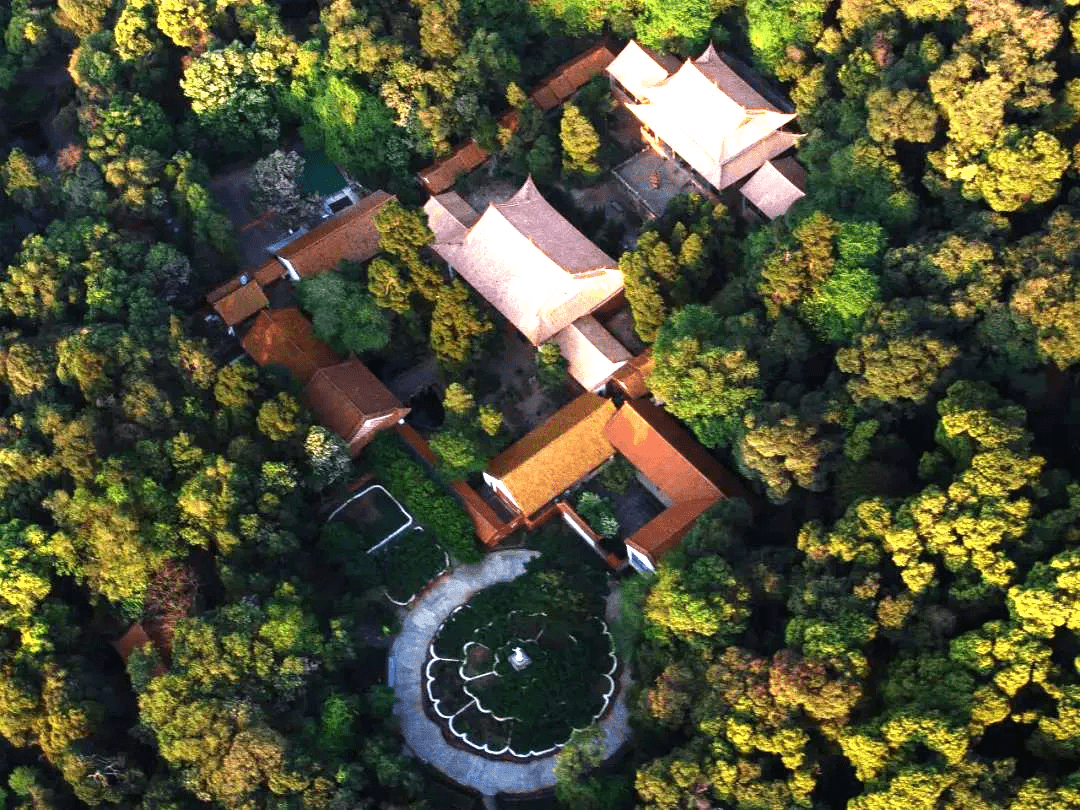 啸天狮子风水宝地狮子回头风水宝地