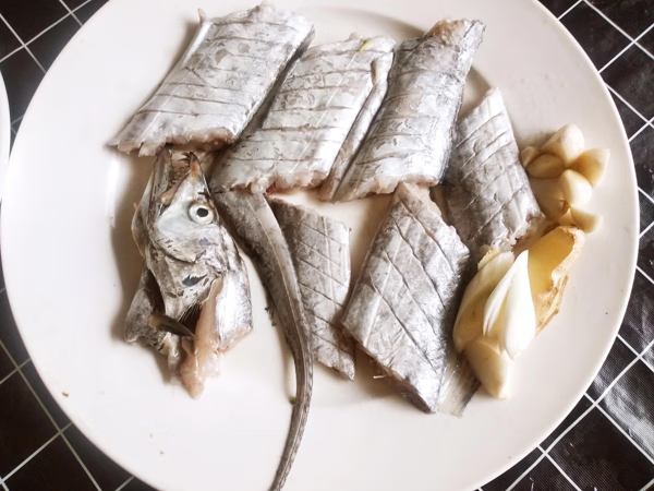 带鱼是深海鱼吗?能养殖吗(带鱼是深海鱼还是浅海鱼)