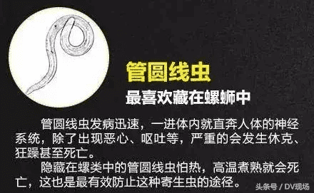 囊虫病(蝇蛆病)