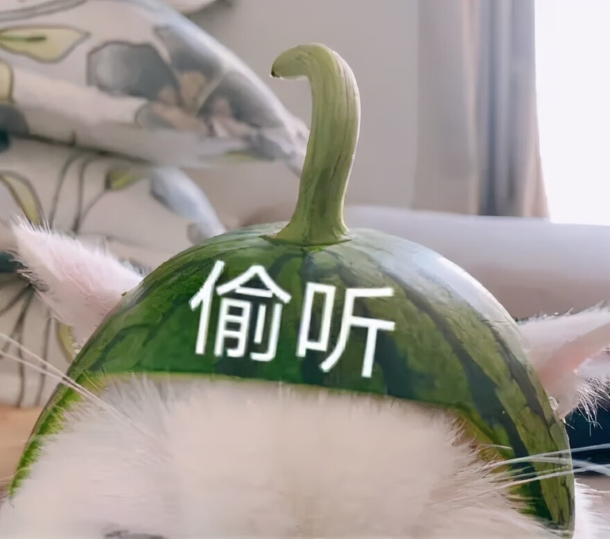 脸上黄褐斑怎样治疗(脸上长黄褐斑怎样治)