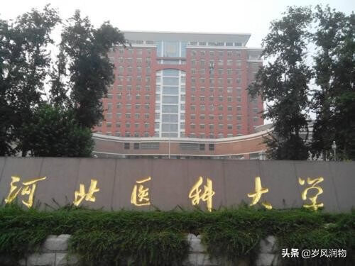 河北师范大学专科在哪(河北师范大学哪些学院有专科)