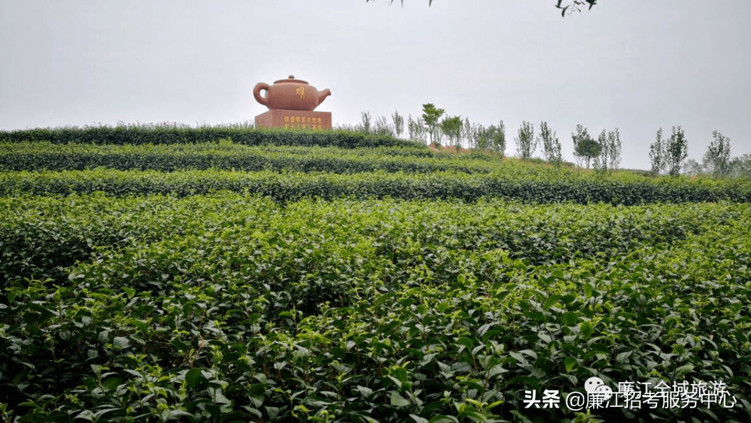 廉江市风水宝地(廉江附近的风水宝地)