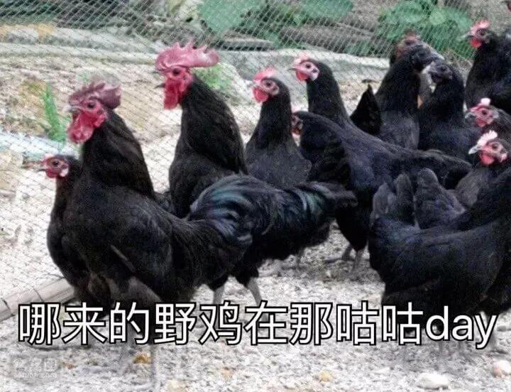 全国防伪查询网站(全国商品防伪查询中心)