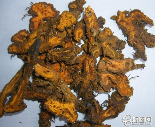 黄连的功效与作用(黄连的神奇功效与作用)