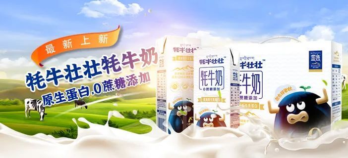 睡前喝牛奶会长胖吗?(睡前一杯牛奶会长胖吗)