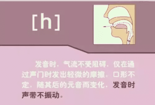 音标发音规则详解(音标的发音规律是什么)