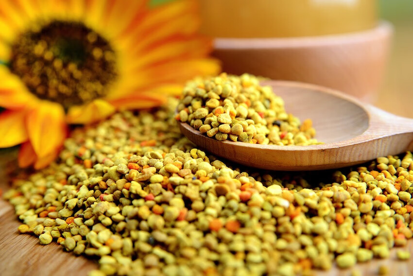 蜂花粉怎么吃?(蜜蜂花粉怎样食用)