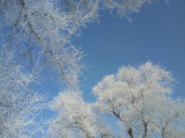 2月份适合去哪里旅游玩(适合2月份旅游的地方有哪些)