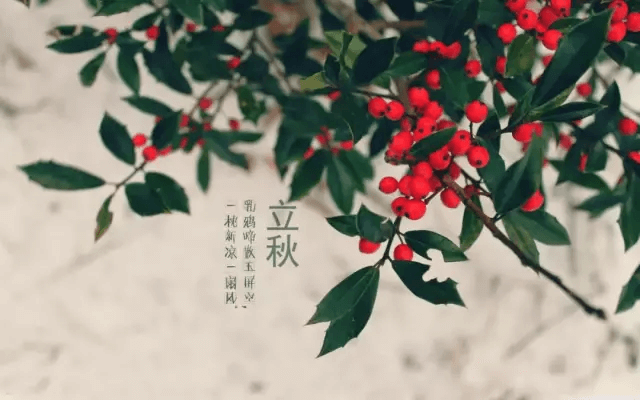 2020年立秋是几点几分几秒?(2020年立秋是什么时候)