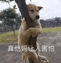 指甲上的月牙代表什么意思(指甲上的月牙说明了什么)