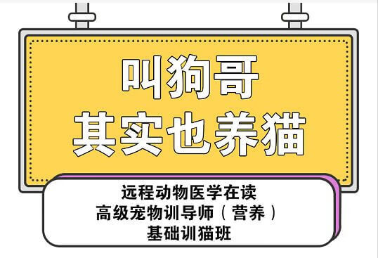 全国防伪查询网站(全国商品防伪查询中心)