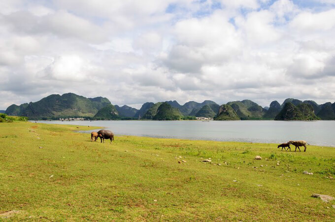 广西百色靖西风水宝地(广西风水宝地大全)