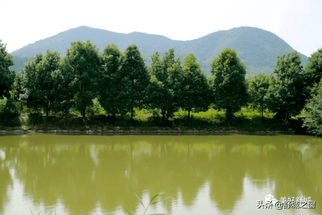 水湾的风水(湾的风水含义)