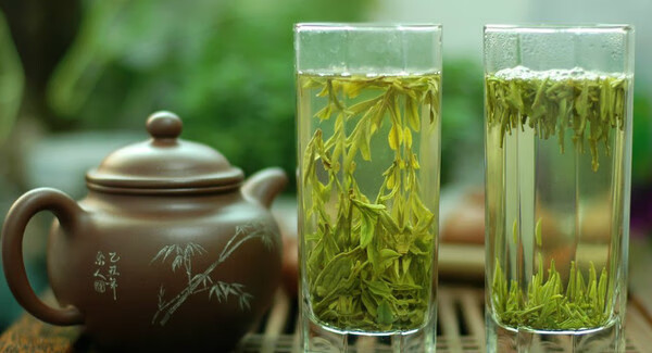喝绿茶的好处和坏处的功效(喝绿茶对身体有什么坏处)