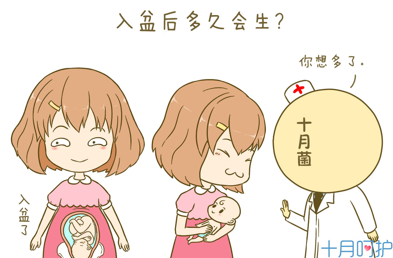 一般入盆后多久会生
