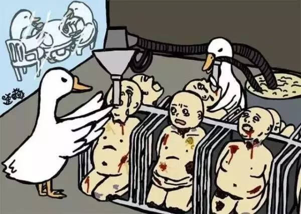 熊掌的价钱(熊掌的价格是多少)