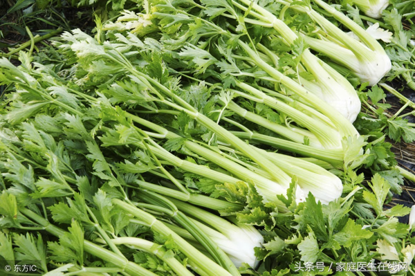 卡路里低的食物有哪些(低卡低热量的食物有哪些)