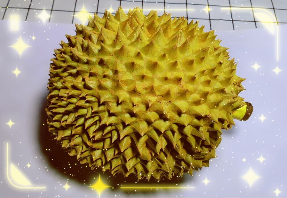 榴莲煲鸡汤的做法配料(榴莲煲鸡汤的材料)