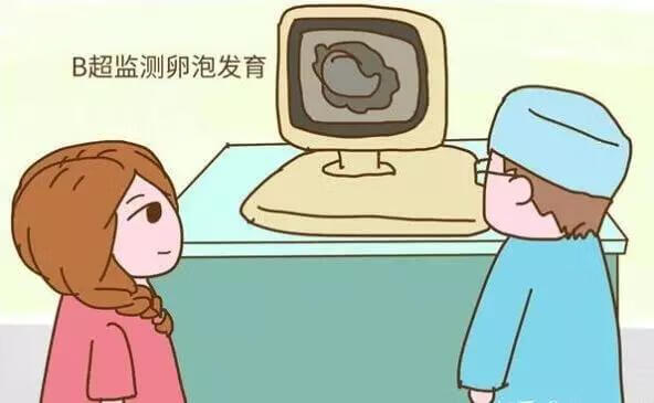 监测卵泡有什么作用(监测卵泡的方法)