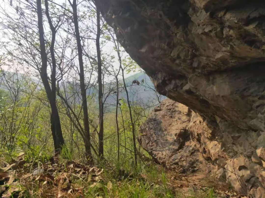 上山龙风水宝地(九龙缠顶风水宝地)