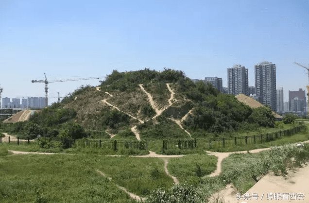 秦庄襄王墓秦庄襄王陵