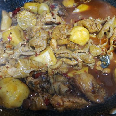 新鲜猪大肠怎么做好吃(猪大肠怎样烧好吃)