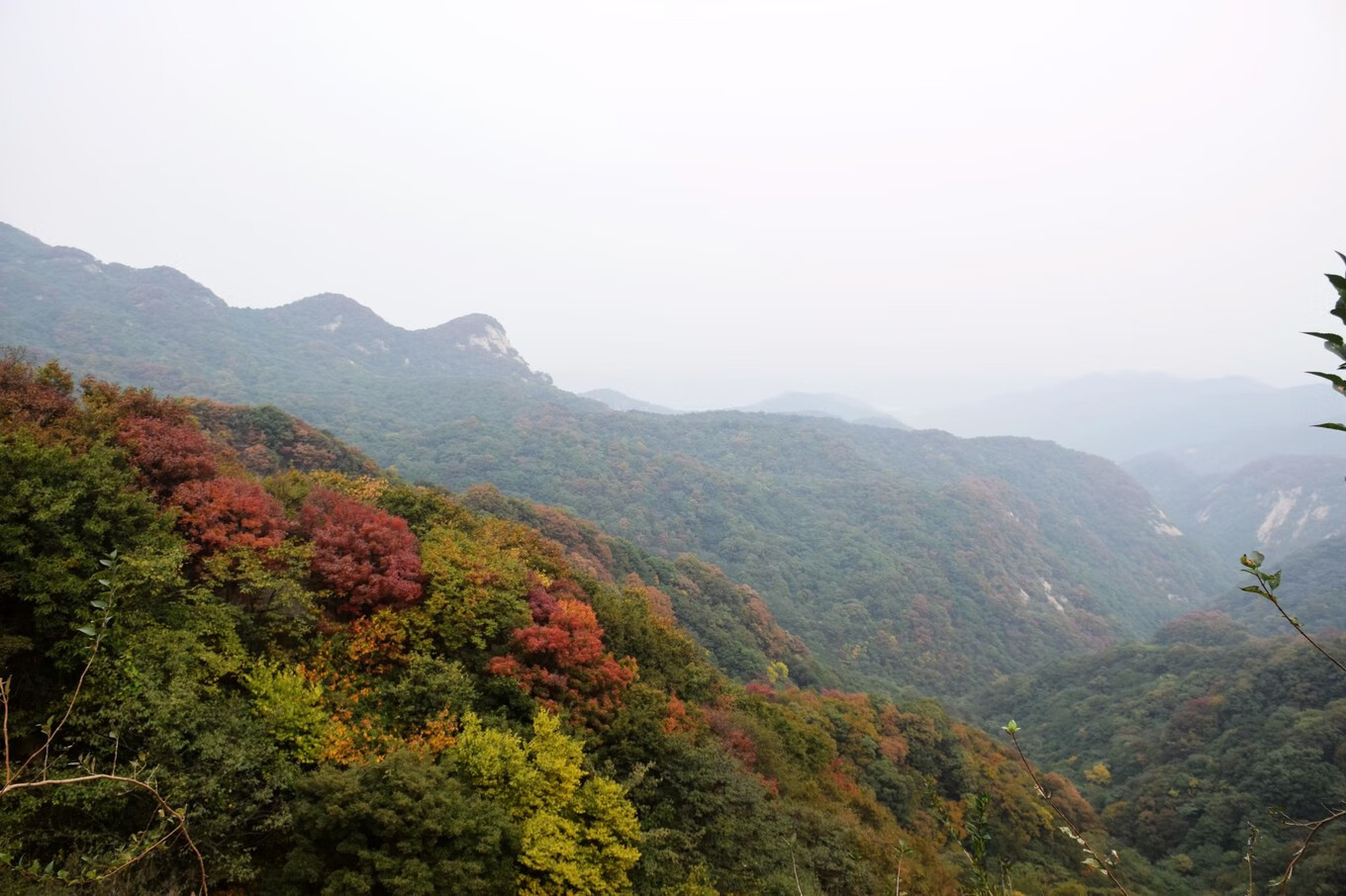 浙江台州桐柏山图片