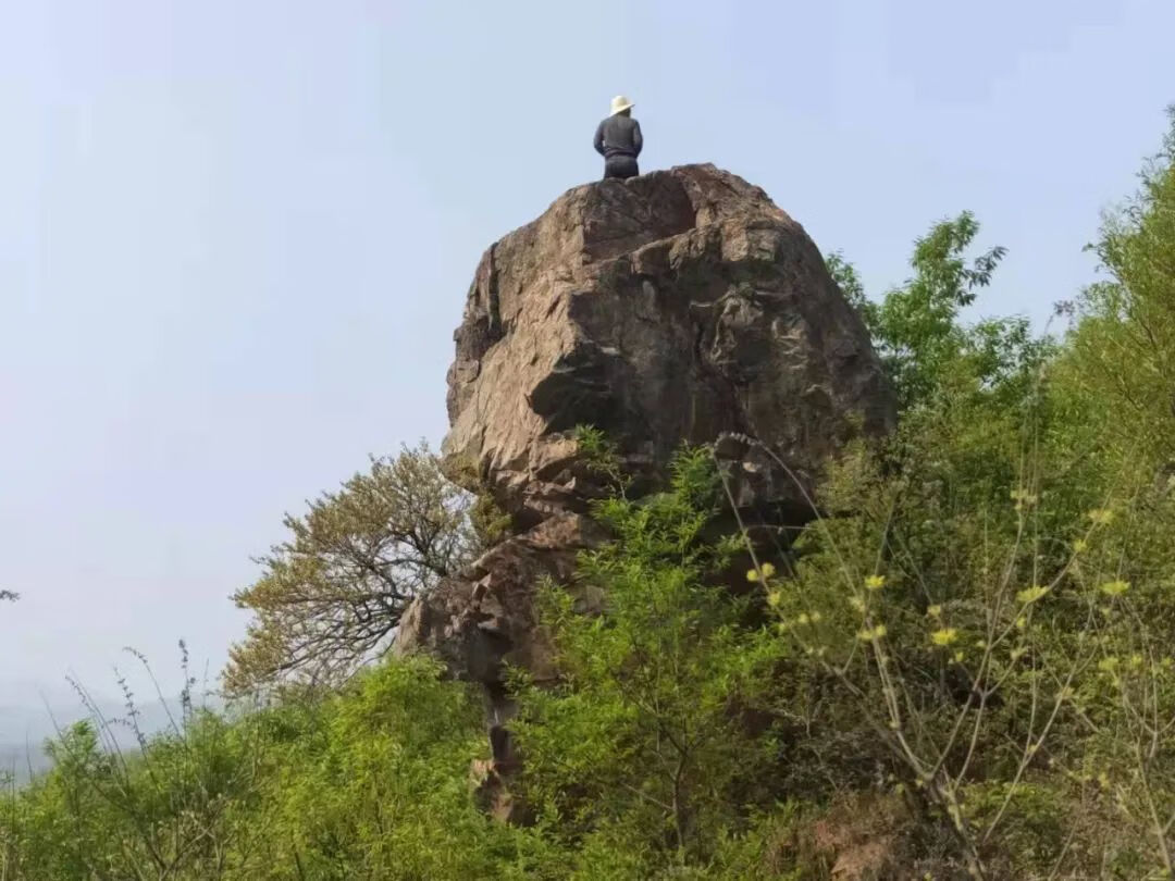 上山龙风水宝地(九龙缠顶风水宝地)