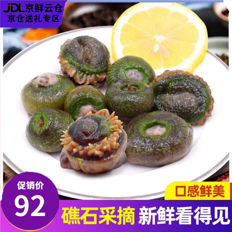 超朴生鲜鲜外鲜活沙蒜 500g新鲜绿蒜小海葵岩蒜海肠子 海 新鲜采摘
