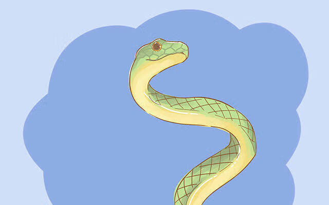 九个最准怀男孩胎梦老鼠