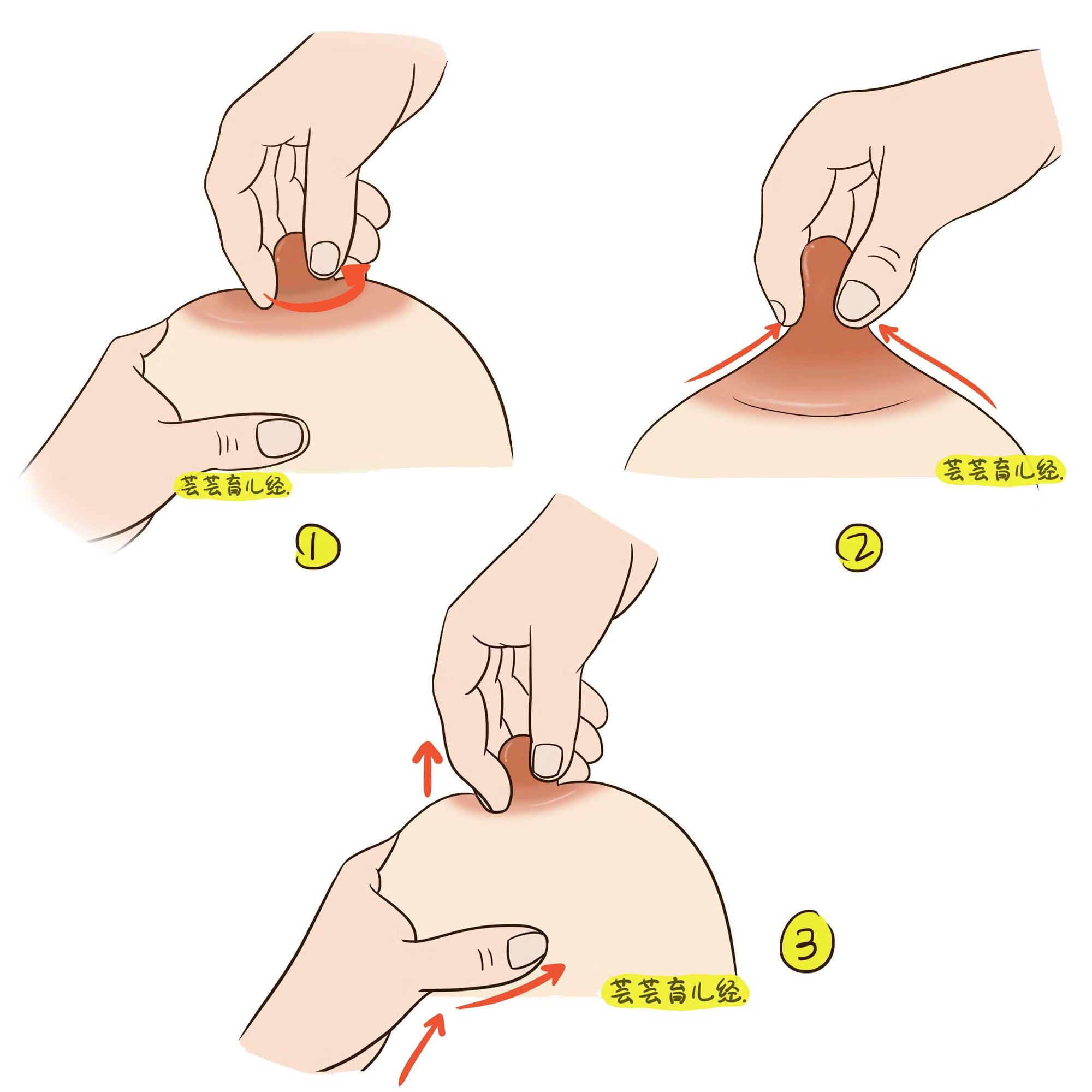 按摩乳房(1)疏通乳腺管:妈妈双手全掌,由乳房四周沿乳腺管轻轻向乳头